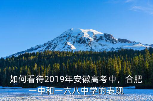 如何看待2019年安徽高考中，合肥一中和一六八中學的表現