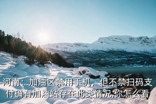 河南：加油區禁用手機，但不禁掃碼支付確有加油站存在此類情況,你怎么看