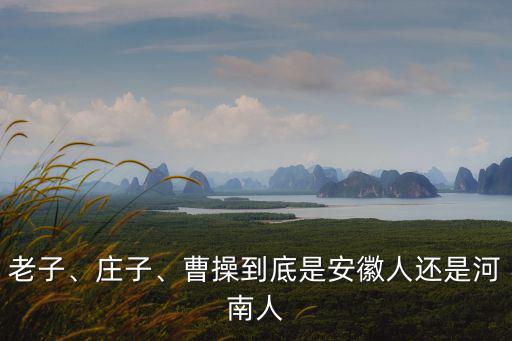 安徽有多少人叫王春景,蘇州到底有多少安徽人