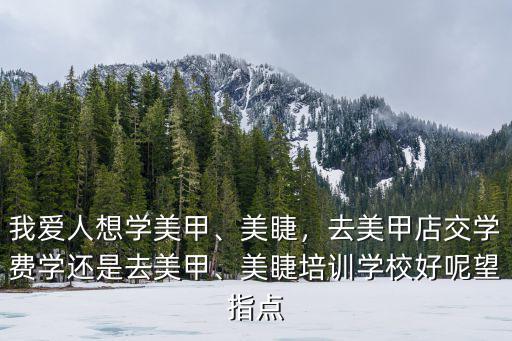 我愛人想學美甲、美睫，去美甲店交學費學還是去美甲、美睫培訓學校好呢望指點
