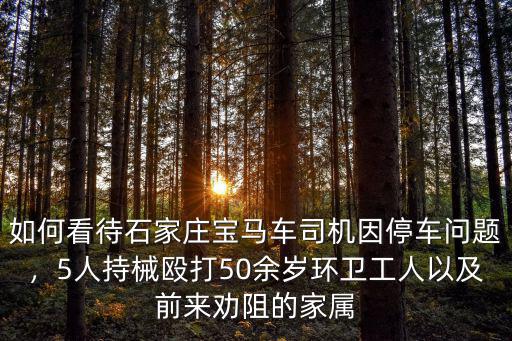如何看待石家莊寶馬車司機(jī)因停車問題，5人持械毆打50余歲環(huán)衛(wèi)工人以及前來勸阻的家屬