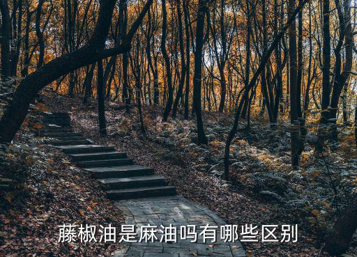 藤椒油是麻油嗎有哪些區別