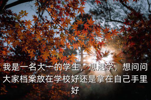 資陽大一新生在哪里取檔案,我是一名大一的學(xué)生