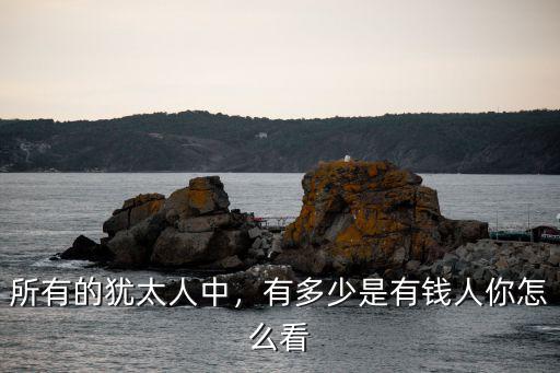 所有的猶太人中，有多少是有錢人你怎么看