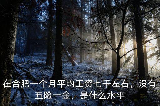 在合肥一個月平均工資七千左右，沒有五險一金，是什么水平