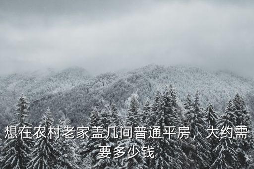衡水老家蓋房子多少錢,大約需要多少錢