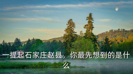 石家莊趙縣同興號(hào)碼是多少,她是石家莊趙縣人嗎