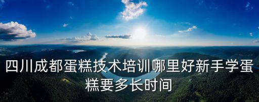 四川成都蛋糕技術培訓哪里好新手學蛋糕要多長時間