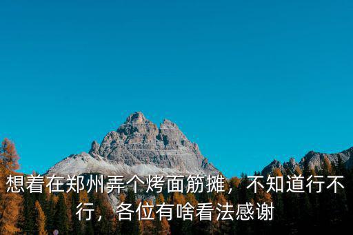 鄭州烤面筋怎么攤,想著在鄭州弄個烤面筋攤