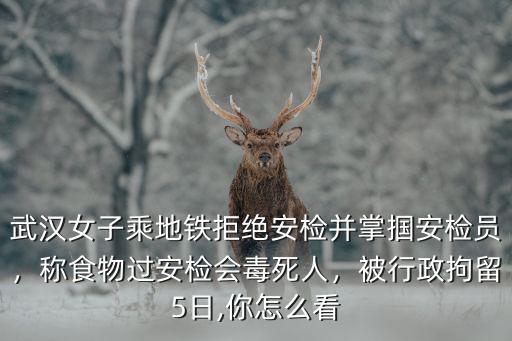 武漢地鐵吃東西怎么舉報,地鐵上有人吃東西