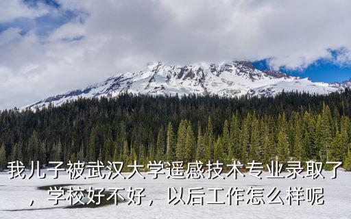 武漢大學(xué)陶行知學(xué)院怎么樣,武漢學(xué)院怎么樣