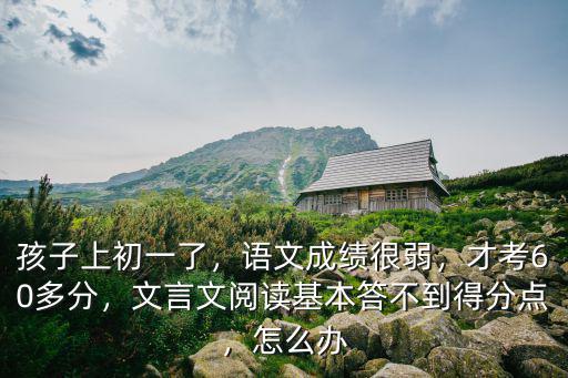孩子上初一了，語文成績很弱，才考60多分，文言文閱讀基本答不到得分點，怎么辦