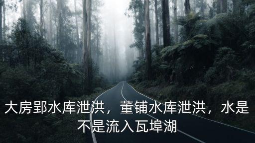 合肥周谷堆到董鋪水庫多少公里,作為合肥水源地的董鋪水庫