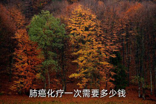 秦皇島肺癌化療一次多少錢,肺癌化療一次多少錢