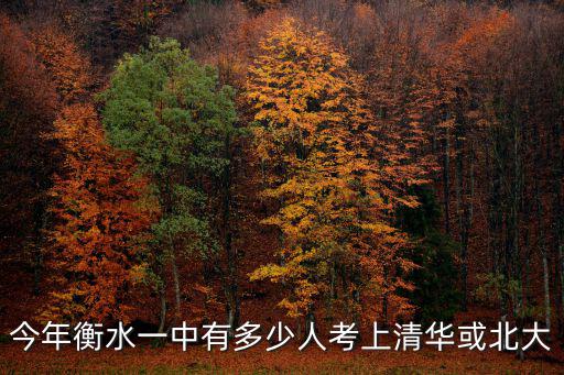 今年衡水一中有多少人考上清華或北大