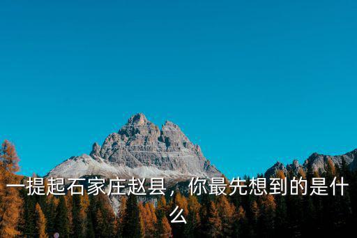石家莊趙縣小麥多少錢,一提起石家莊趙縣