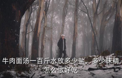 牛肉面湯一百斤水放多少鹽，多少味精怎么做好吃