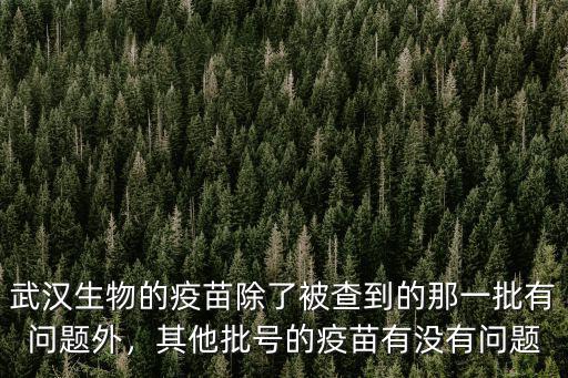 武漢生物的疫苗除了被查到的那一批有問題外，其他批號的疫苗有沒有問題