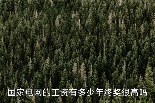 張家口陽原縣電網工資多少,國家電網的工資有多少