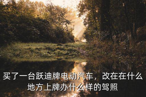 買了一臺躍迪牌電動汽車，改在在什么地方上牌辦什么樣的駕照