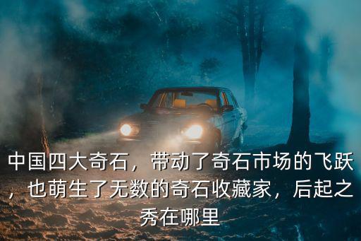 中國四大奇石，帶動了奇石市場的飛躍，也萌生了無數的奇石收藏家，后起之秀在哪里