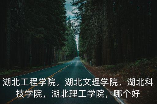 湖北工程學院，湖北文理學院，湖北科技學院，湖北理工學院，哪個好