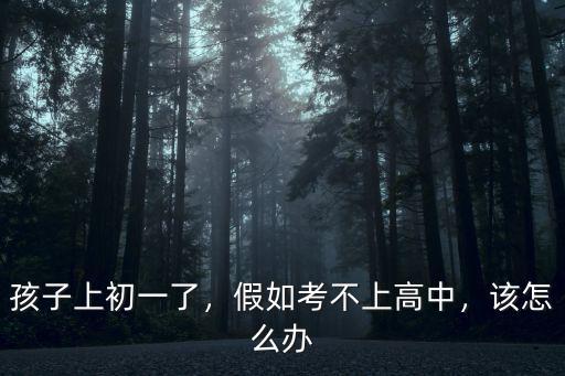 湖北學(xué)生考不上高中怎么辦,高中考不上的學(xué)生怎么辦