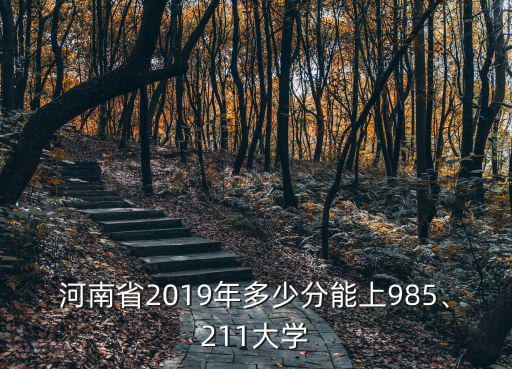 河南省2019年多少分能上985、211大學(xué)