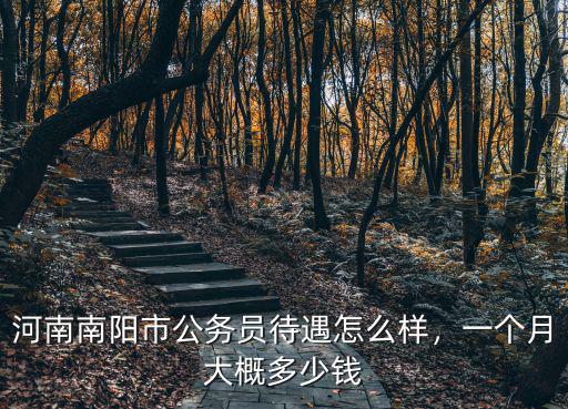 河南南陽市公務員待遇怎么樣，一個月大概多少錢
