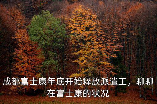 成都富士康派遣工在哪里查工資明細(xì),成都富士康工資多少
