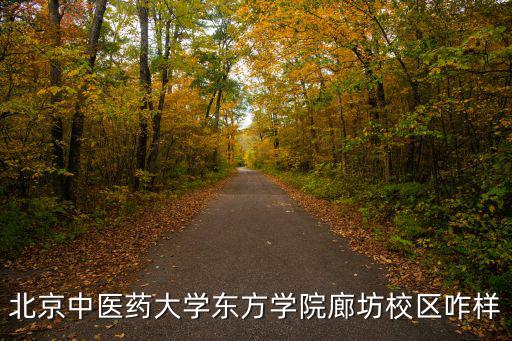 北京中醫藥大學東方學院廊坊校區咋樣