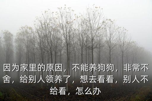 因為家里的原因，不能養狗狗，非常不舍，給別人領養了，想去看看，別人不給看，怎么辦