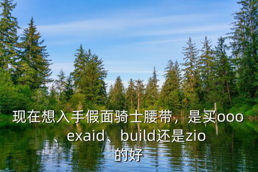 新鄉哪里有賣假面腰帶的,有沒有推薦的假面騎士腰帶
