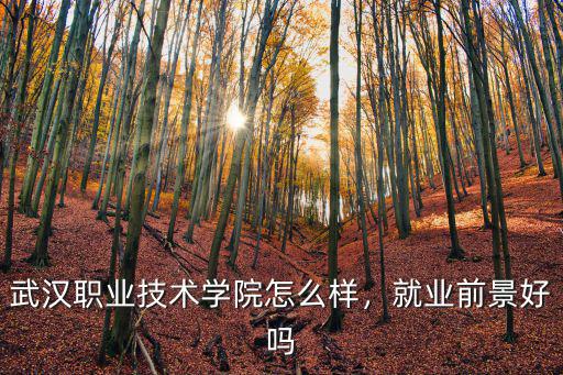 武漢職業(yè)技術(shù)學(xué)院怎么樣，就業(yè)前景好嗎