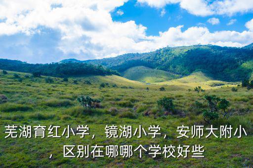 蕪湖育紅小學，鏡湖小學，安師大附小，區別在哪哪個學校好些