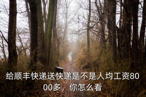隨州順豐快遞待遇怎么樣,順豐快遞員待遇怎么樣