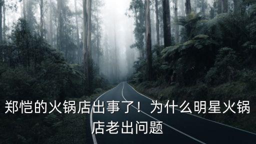 廊坊火鳳祥火鍋店多少錢一位,廊坊哪家火鍋店最好吃