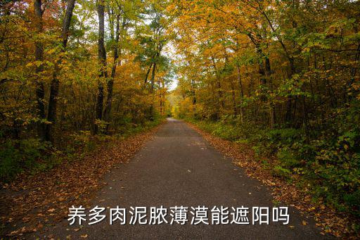 養(yǎng)多肉泥膿薄漠能遮陽嗎