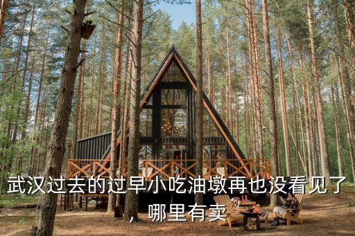 武漢過去的過早小吃油墩再也沒看見了，哪里有賣