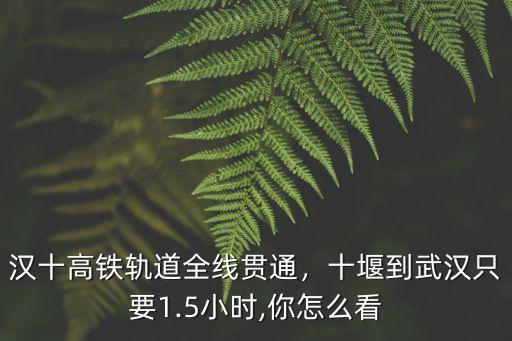 漢十高鐵軌道全線貫通，十堰到武漢只要1.5小時(shí),你怎么看