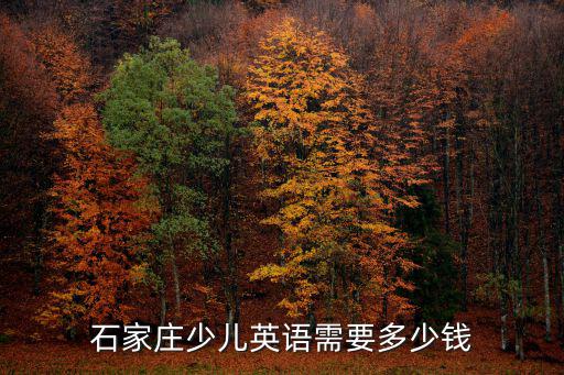 石家莊優加英語學費多少,優加青少英語培訓多少錢