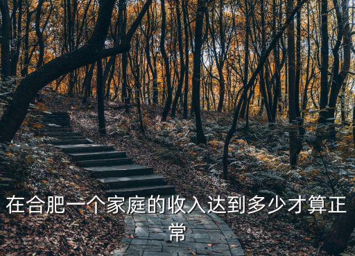 在合肥一個家庭的收入達到多少才算正常