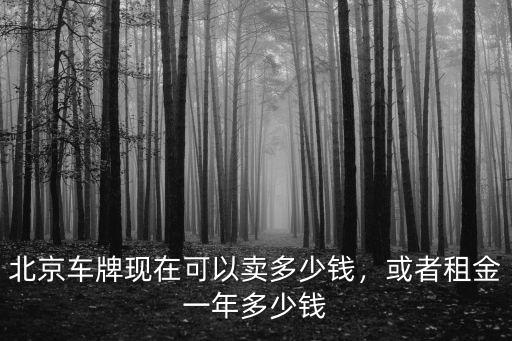 租河北車牌多少錢一年,或者租金一年多少錢