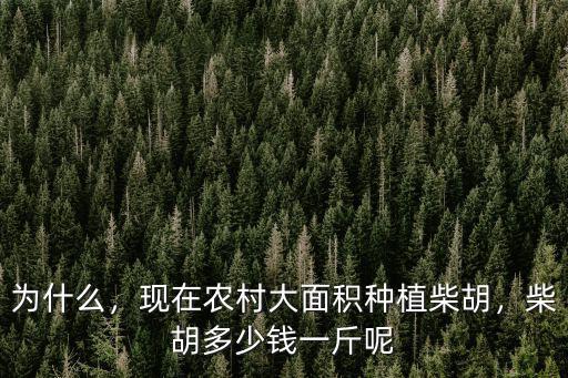 河北柴胡藥材多少錢一斤,柴胡多少錢一斤呢