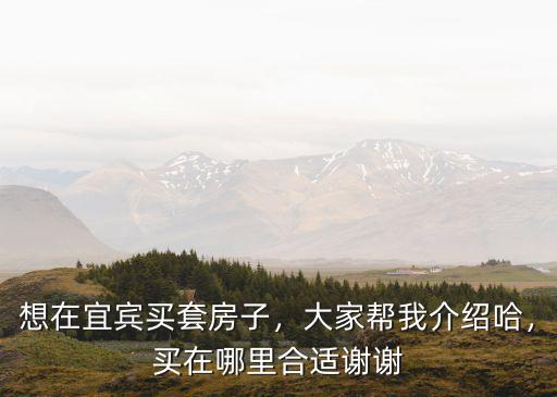 宜賓哪里的樓盤比較好,宜賓有哪些開發(fā)商做得比較好