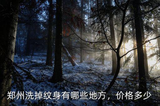 鄭州洗紋身去哪里,哪里可以洗紋身
