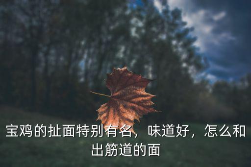 河南人做的家常扯面怎么和面,怎么和出筋道的面