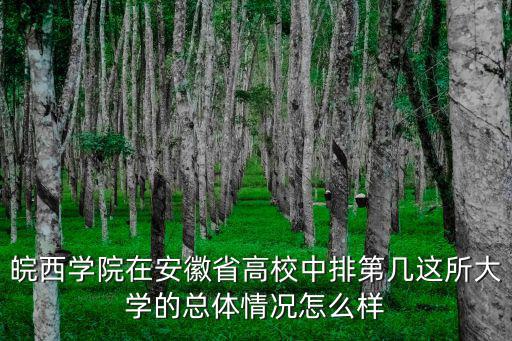皖西學院在安徽省高校中排第幾這所大學的總體情況怎么樣