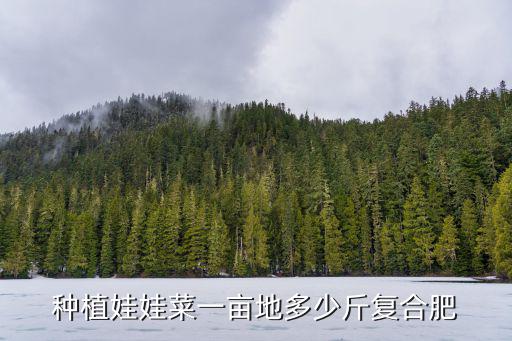 種植娃娃菜一畝地多少斤復合肥