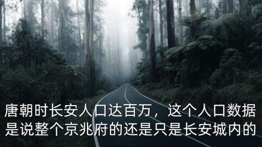 唐朝安徽人口有多少人口,唐朝時長安人口達百萬